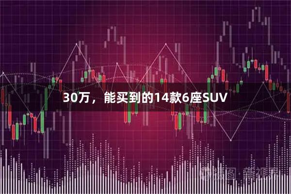30万，能买到的14款6座SUV