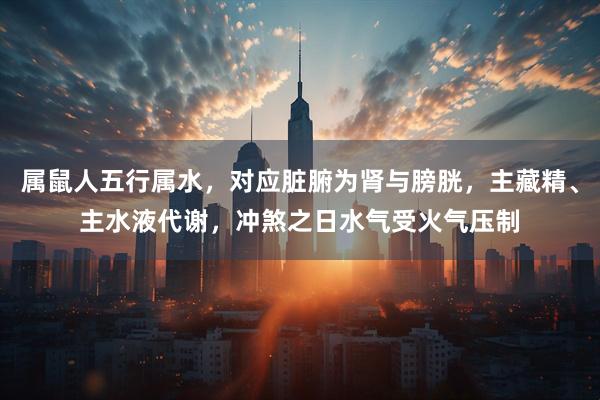 属鼠人五行属水，对应脏腑为肾与膀胱，主藏精、主水液代谢，冲煞之日水气受火气压制