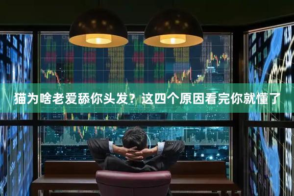猫为啥老爱舔你头发？这四个原因看完你就懂了