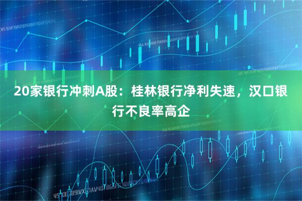 20家银行冲刺A股：桂林银行净利失速，汉口银行不良率高企